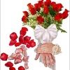 abdikadir123